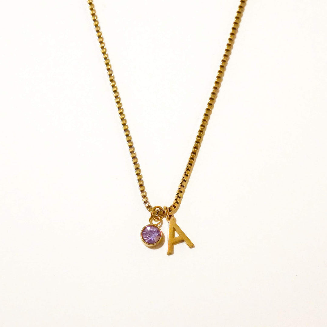 Personalized Kaia Birthstone Initial Necklace